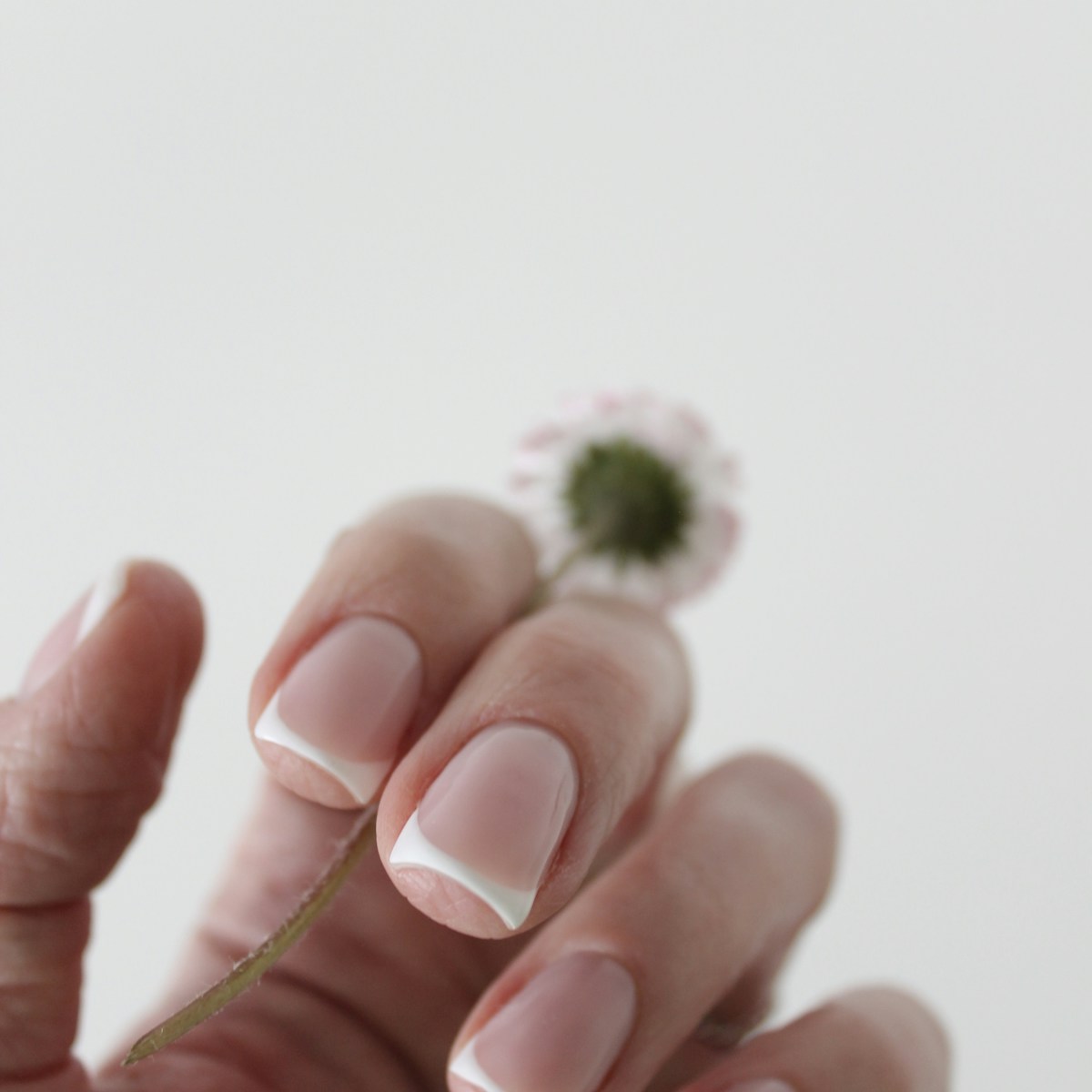 צרפתי קלאסי